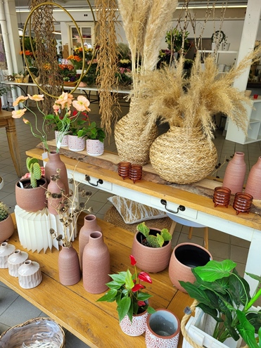 Sommer Blumen Hannover